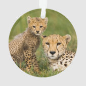 Cheetah Cub en Parent in Grass Ornament (achterkant)