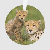 Cheetah Cub en Parent in Grass Ornament (voorkant)