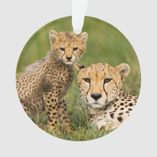 Cheetah Cub en Parent in Grass Ornament (voorkant)