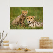 Cheetah Cub en Parent in Grass Poster (Keuken)
