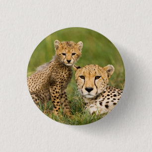 Cheetah Cub en Parent in Grass Ronde Button 3,2 Cm