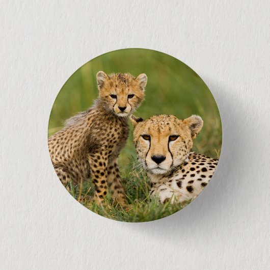 Cheetah Cub en Parent in Grass Ronde Button 3,2 Cm (Voorkant)