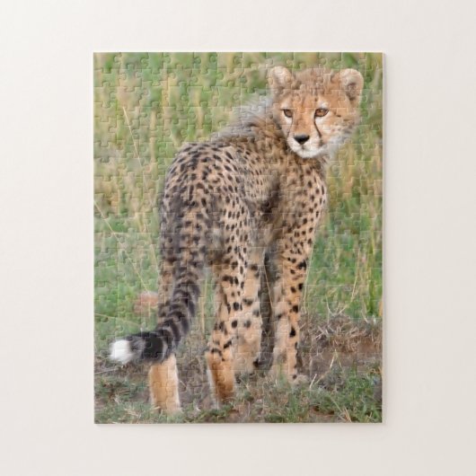 Cheetah Cub kijkt je kant op. Legpuzzel (Verticaal)