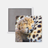 Cheetah Cub Magneet (Voorkant / Achterkant)