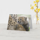 Cheetah Cub met mam Kaart (Gele Bloem)