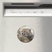 Cheetah Cub met mam Magneet (Insitu (Vaatwasser))