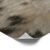 Cheetah Cub met mam Poster (Hoek)