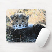 Cheetah cub muismat (Met muis)