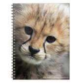 Cheetah cub notitieboek (Voorkant)
