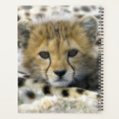Cheetah Cub Planner (Achterkant)