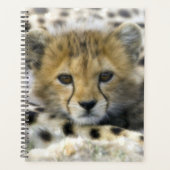 Cheetah Cub Planner (Voorkant)