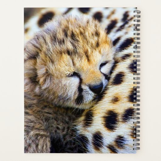 Cheetah Cub Planner (Achterkant)