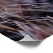 Cheetah Cub | Savannah, Kenia Poster (Hoek)