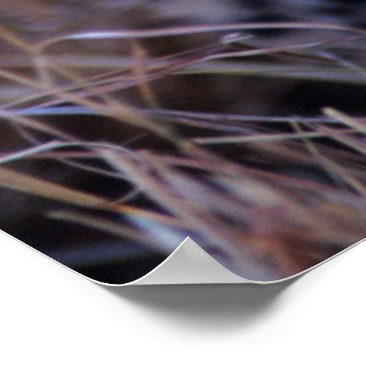 Cheetah Cub | Savannah, Kenia Poster (Hoek)