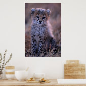 Cheetah Cub | Savannah, Kenia Poster (Keuken)