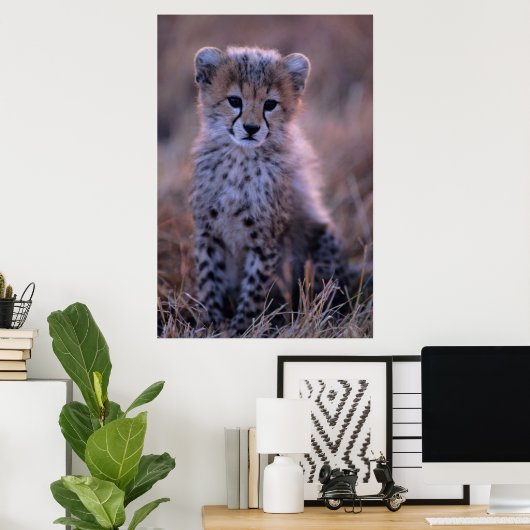 Cheetah Cub | Savannah, Kenia Poster (Thuiskantoor)