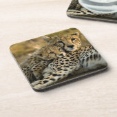 Cheetah Cub Snuggling met zijn moeder Bier Onderzetter (Linkerzijde)