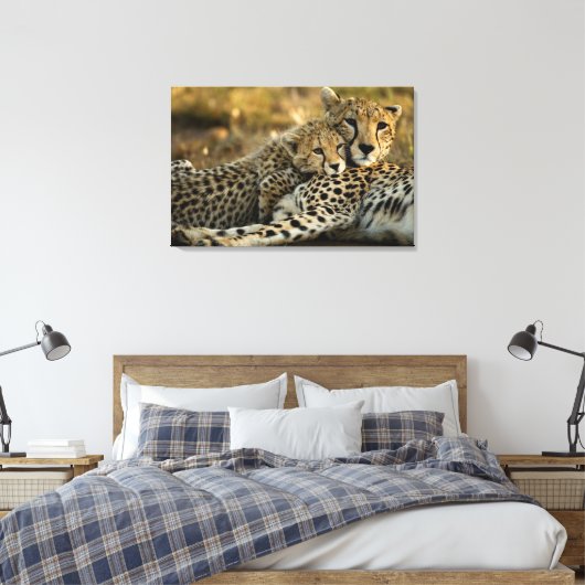 Cheetah Cub Snuggling met zijn moeder Canvas Afdruk (Insitu (Slaapkamer))