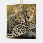 Cheetah Cub Snuggling met zijn moeder Keramisch Ornament (Links)