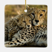 Cheetah Cub Snuggling met zijn moeder Keramisch Ornament (Achterkant)