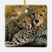 Cheetah Cub Snuggling met zijn moeder Keramisch Ornament (Voorkant)