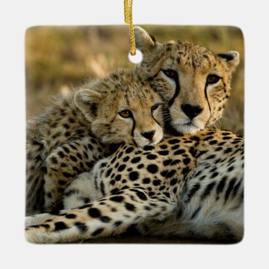 Cheetah Cub Snuggling met zijn moeder Keramisch Ornament (Voorkant)