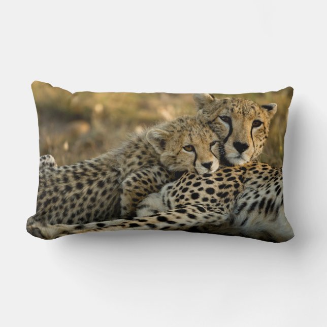 Cheetah Cub Snuggling met zijn moeder Kussen (Voorkant)