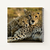 Cheetah Cub Snuggling met zijn moeder Notitieboek (Achterkant)