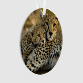 Cheetah Cub Snuggling met zijn moeder Ornament (voorkant)