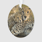 Cheetah Cub Snuggling met zijn moeder Ornament (voorkant)