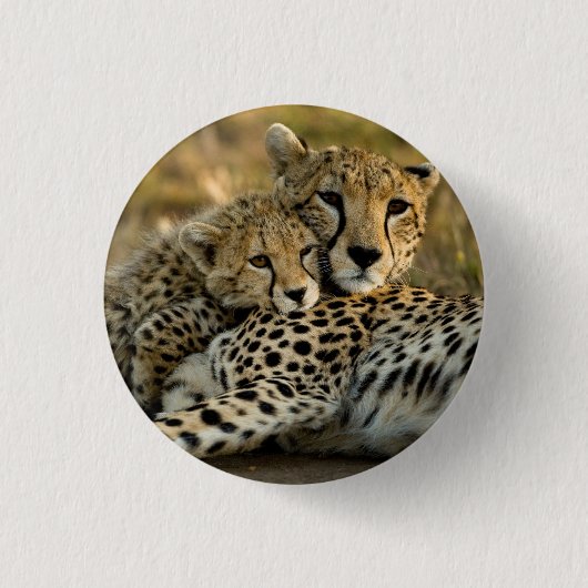 Cheetah Cub Snuggling met zijn moeder Ronde Button 3,2 Cm (Voorkant)