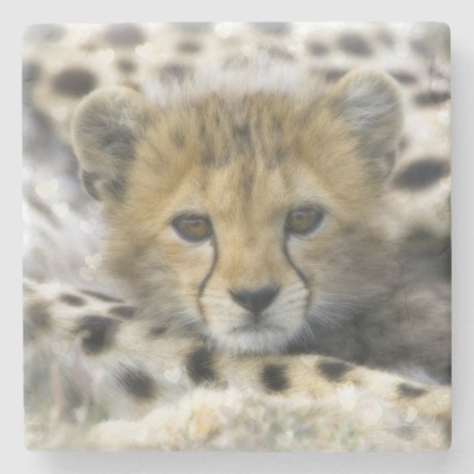Cheetah Cub Stenen Onderzetter (Voorkant)