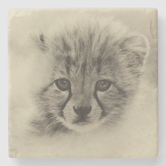 Cheetah Cub Stenen Onderzetter (Voorkant)