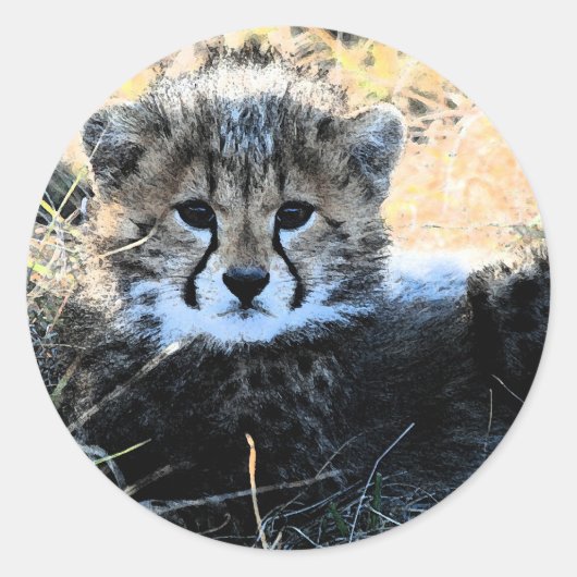 Cheetah cub stickers (Voorkant)