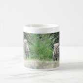 Cheetah cubs koffiemok (Center)