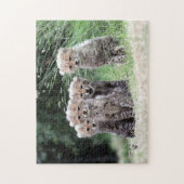 Cheetah cubs legpuzzel (Verticaal)