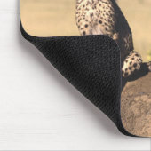 Cheetah Cubs Mousepad Muismat (Hoek)