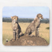 Cheetah Cubs Mousepad Muismat (Voorkant)