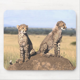 Cheetah Cubs Mousepad Muismat