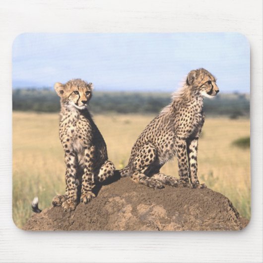 Cheetah Cubs Mousepad Muismat (Voorkant)