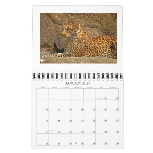 cheetah-cubs, NORPHLET, LEOPARDS Kalender (Jan 2027)
