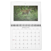 cheetah-cubs, NORPHLET, LEOPARDS Kalender (Mar 2027)
