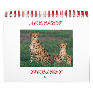 cheetah-cubs, NORPHLET, LEOPARDS Kalender