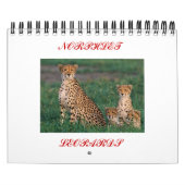 cheetah-cubs, NORPHLET, LEOPARDS Kalender (Hoes)