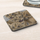 Cheetah Cubs spelen Bier Onderzetter (Linkerzijde)