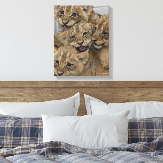 Cheetah Cubs spelen Canvas Afdruk (Insitu (Slaapkamer))
