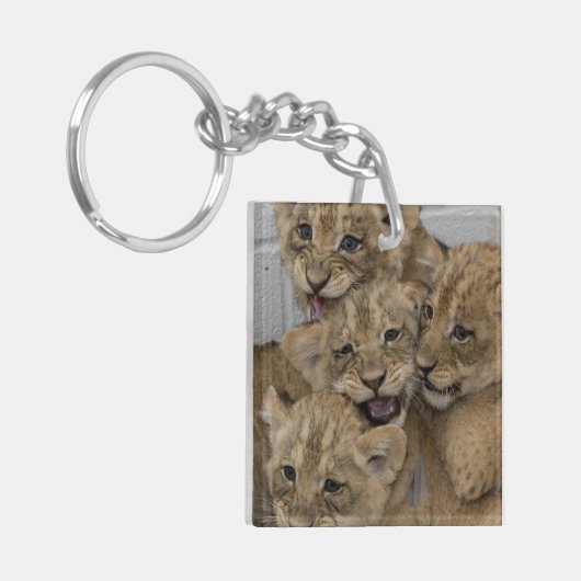 Cheetah Cubs spelen Sleutelhanger (Voorkant Links)