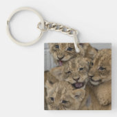 Cheetah Cubs spelen Sleutelhanger (Voorkant)