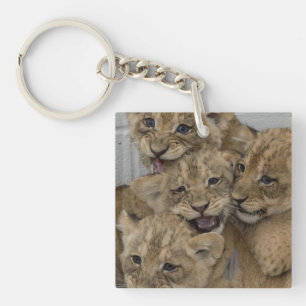 Cheetah Cubs spelen Sleutelhanger