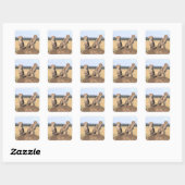 Cheetah Cubs Vierkante Sticker (Vel)